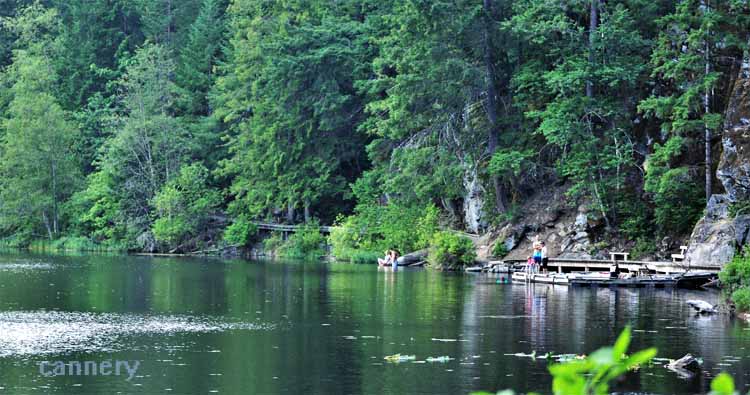 lake scene